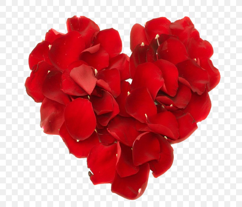 Petal Heart Valentine's Day Flower Rose, PNG, 700x700px, Petal, Artificial Flower, Blue Rose, Cornales, Cut Flowers Download Free