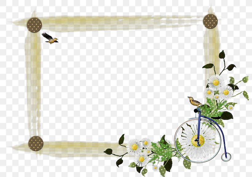 Picture Frames Film Frame Clip Art, PNG, 800x576px, Picture Frames, Body Jewelry, Clock, Craft, Cut Flowers Download Free
