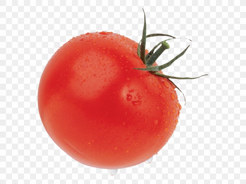 Plum Tomato Cherry Tomato Vegetable Salad Fruit, PNG, 866x650px, Plum Tomato, Aubergines, Bush Tomato, Cherry Tomato, Cherry Tomatoes Download Free