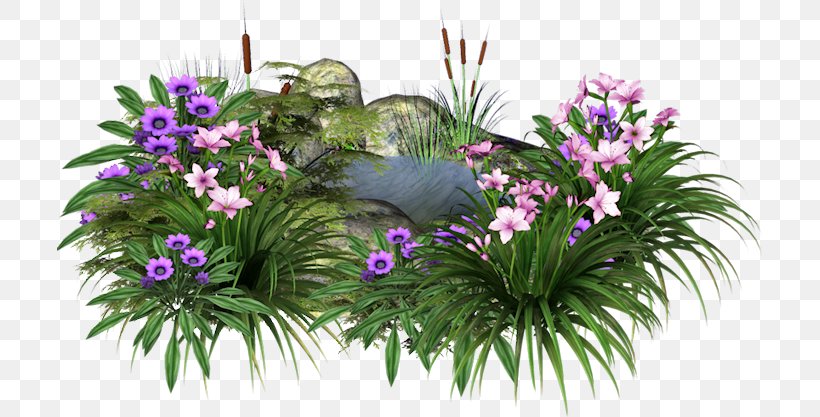 Clip Art, PNG, 705x417px, Computer Network, Blog, Chomikujpl, Cut Flowers, Flora Download Free