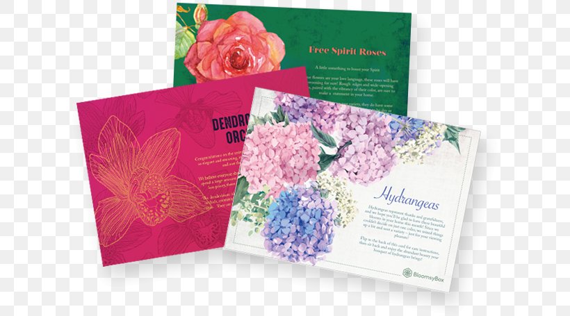 Floral Design Flower Gift Card Petal, PNG, 618x455px, Floral Design, Box, Brand, Brochure, Credit Card Download Free