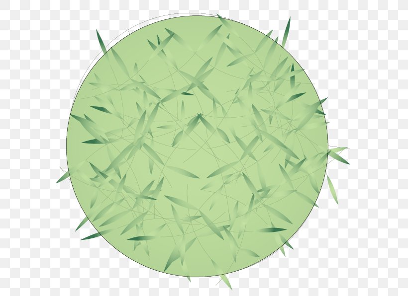 Green Leaf, PNG, 596x596px, Green, Grass, Leaf Download Free