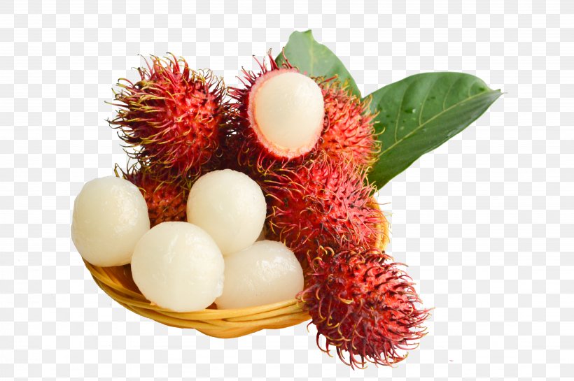Rambutan Fruit Lychee Red, PNG, 4512x3000px, Rambutan, Food, Fruit, Fruit Tree, Jdcom Download Free