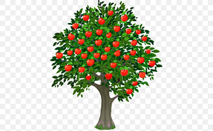 Apple Fuji Clip Art, PNG, 440x505px, Apple, Branch, Cut Flowers, Evergreen, Floral Design Download Free