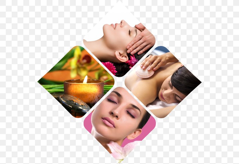 Beauty Parlour Day Spa Cosmetics Hairdresser, PNG, 564x563px, Parlour, Alternative Medicine, Beauty, Beauty Parlour, Cosmetics Download Free