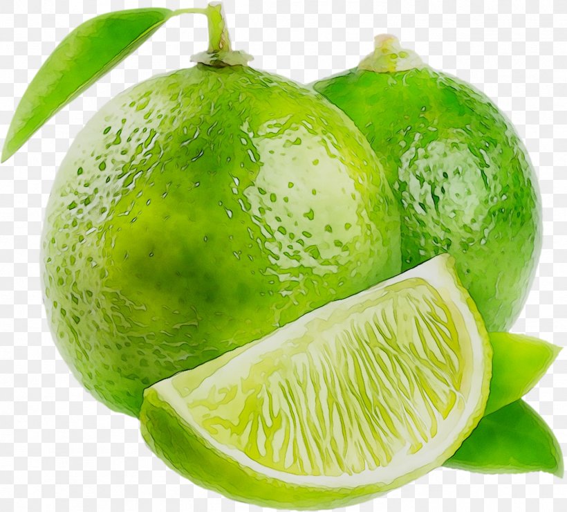 Persian Lime Plants Lemon Key Lime Marketing, PNG, 1366x1233px, Persian Lime, Citric Acid, Citron, Citrus, Flowering Plant Download Free