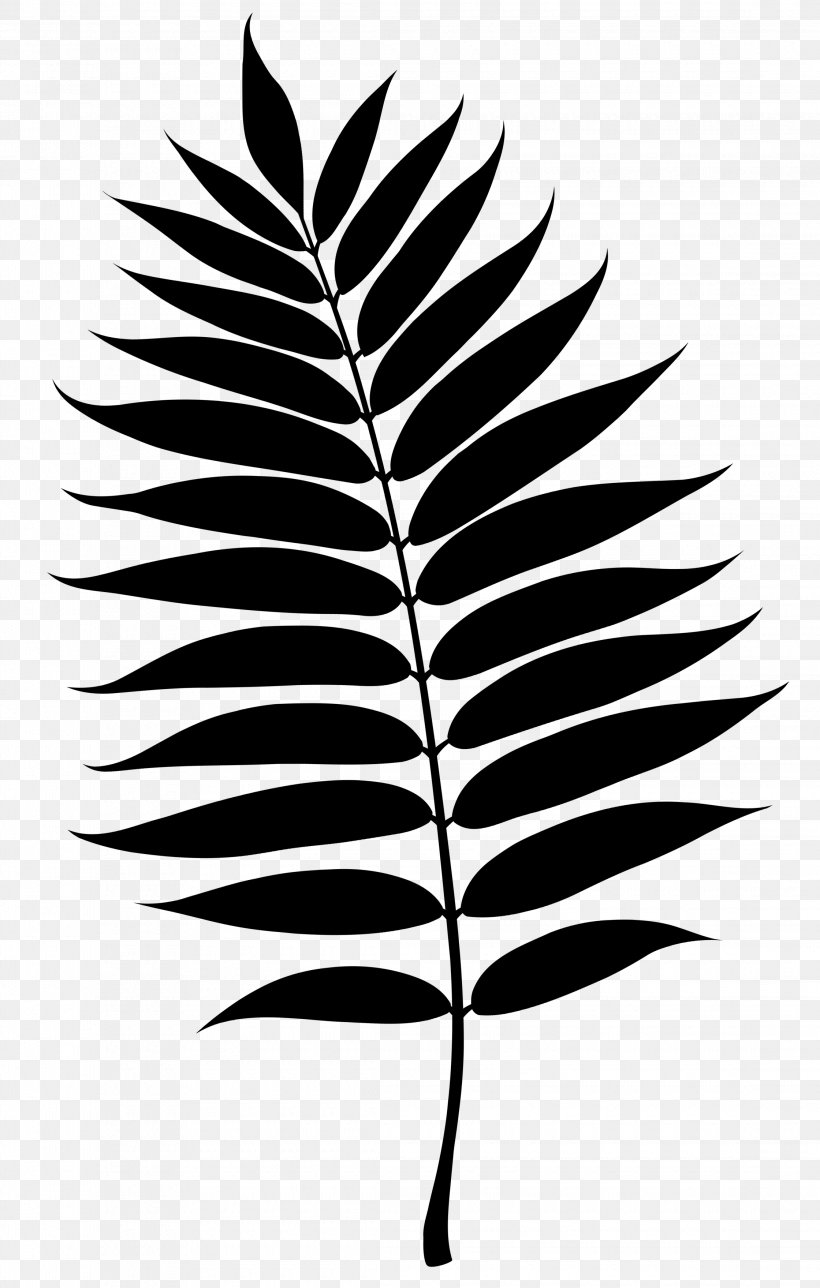Twig Plant Stem Leaf Line Silhouette, PNG, 2240x3520px, Twig, Blackandwhite, Botany, Branch, Fern Download Free