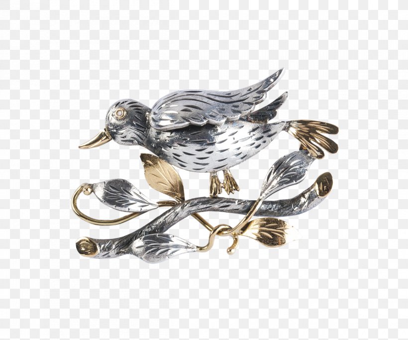 Water Bird Brooch Jewellery Beak, PNG, 1200x1000px, Bird, Beak, Brooch, English Language, European Portuguese Download Free