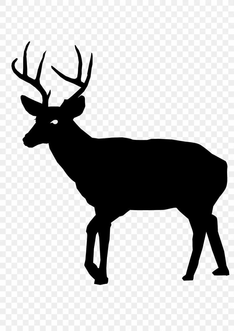 White-tailed Deer Deer Hunting Clip Art, PNG, 1697x2400px, Deer, Antler, Black And White, Deer Hunting, Drawing Download Free