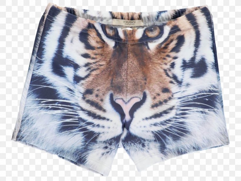 White Tiger Cat Spandex One-piece Swimsuit, PNG, 960x720px, Tiger, Big Cat, Big Cats, Blue, Carnivoran Download Free