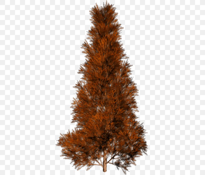 Christmas Black And White, PNG, 378x700px, Tree, American Larch, Autumn, Bigtree, Branch Download Free