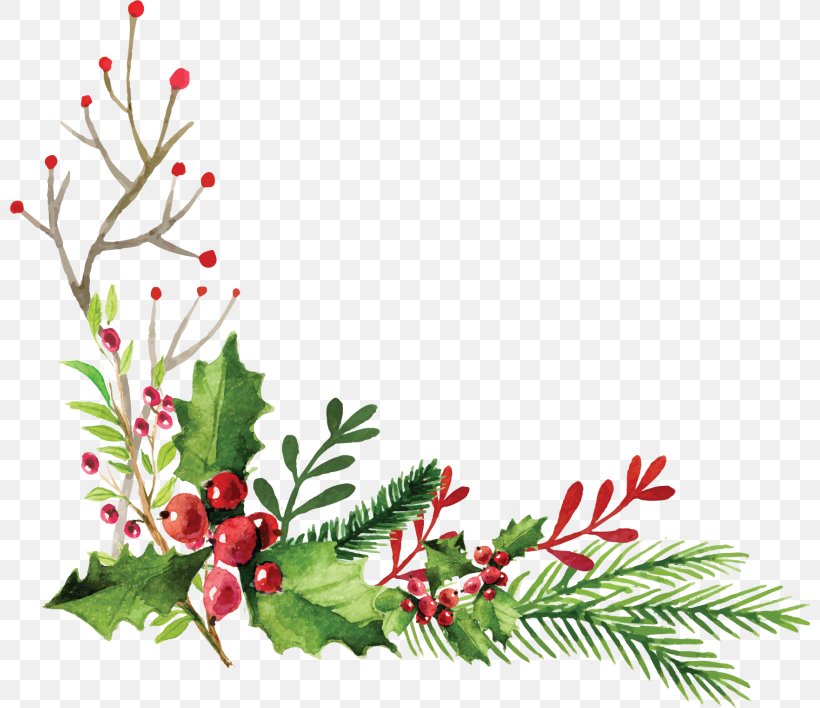 Christmas Card Maker Greeting & Note Cards Christmas Day Malolos, PNG, 800x708px, Greeting Note Cards, Aquifoliaceae, Aquifoliales, Art, Branch Download Free