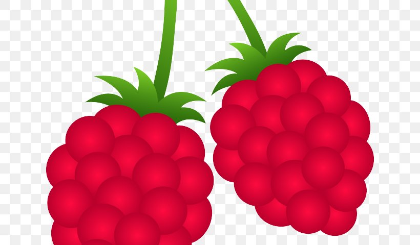 Clip Art Berries Raspberry Fruit Blackberry, PNG, 640x480px, Berries, Accessory Fruit, Alpine Strawberry, Berry, Black Raspberry Download Free