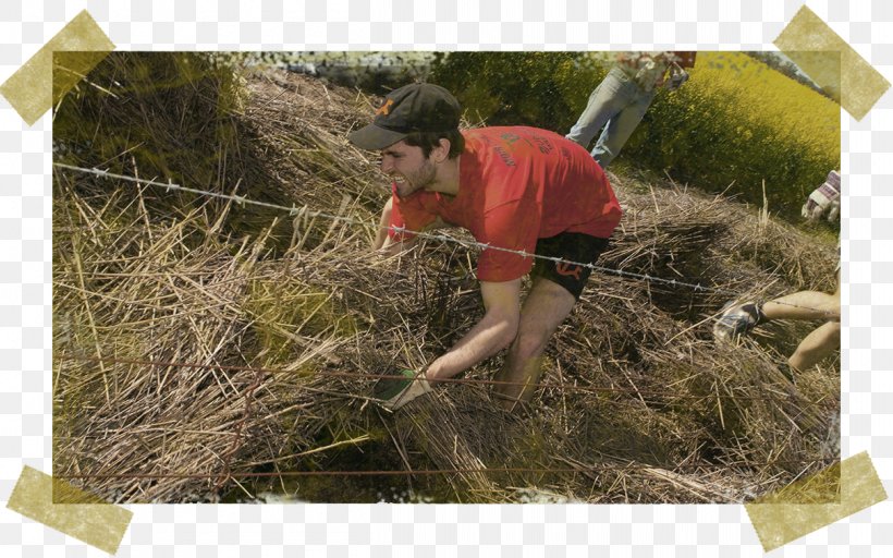 Community Outreach Volunteering Organization Soil, PNG, 1210x756px, Community, Grass, Grass Family, Grasses, Initiative Download Free