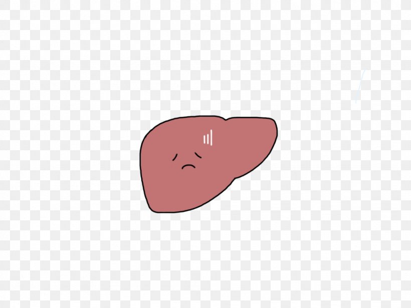 Gallstone Disease Cholecystitis Liver Ascending Cholangitis, PNG, 1024x768px, Watercolor, Cartoon, Flower, Frame, Heart Download Free