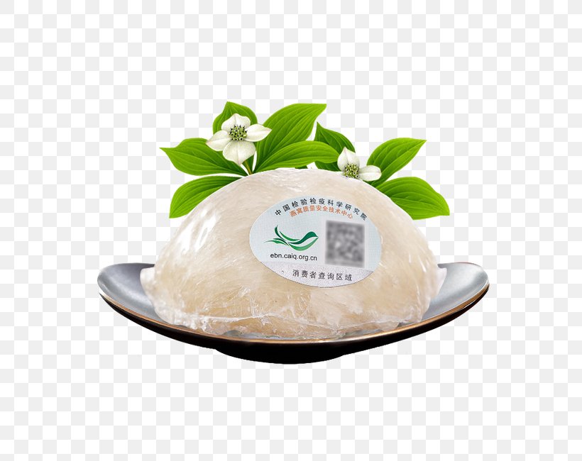 White Bird's Nest, PNG, 650x650px, Swallow, Aerodramus, Apodiformes, Cream, Dairy Product Download Free