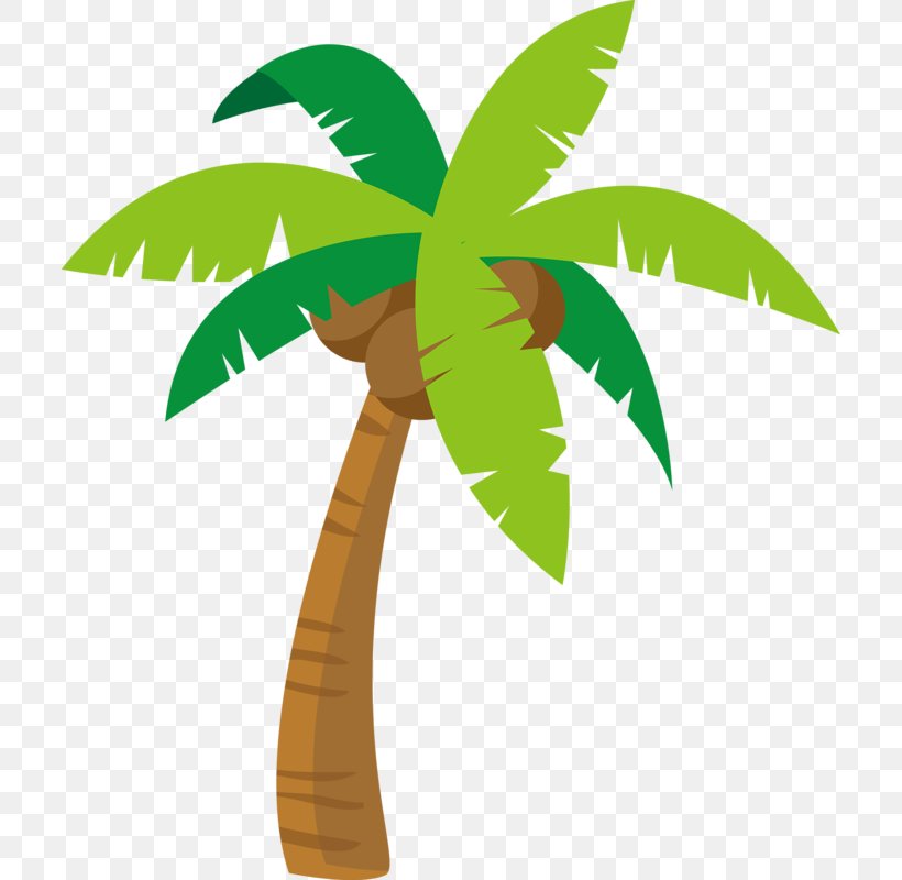 Arecaceae Clip Art, PNG, 708x800px, Arecaceae, Arecales, Autocad Dxf, Cartoon, Drawing Download Free