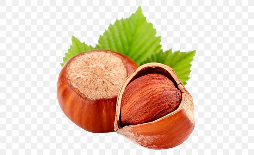 Hazelnut Flavor Food Common Hazel, PNG, 500x500px, Hazelnut, Common Hazel, Flavor, Food, Fruit Download Free