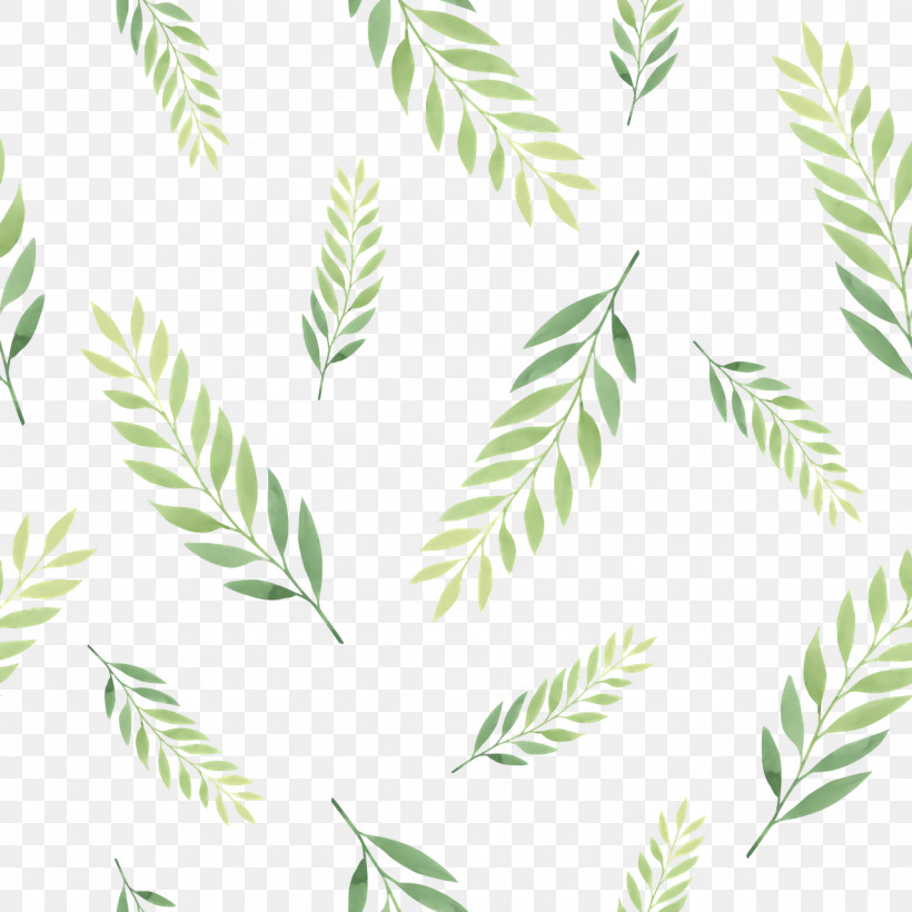 Leaf Plant Stem Tree Green Line, PNG, 1280x1280px, Leaf, Biology, Geometry, Green, Line Download Free
