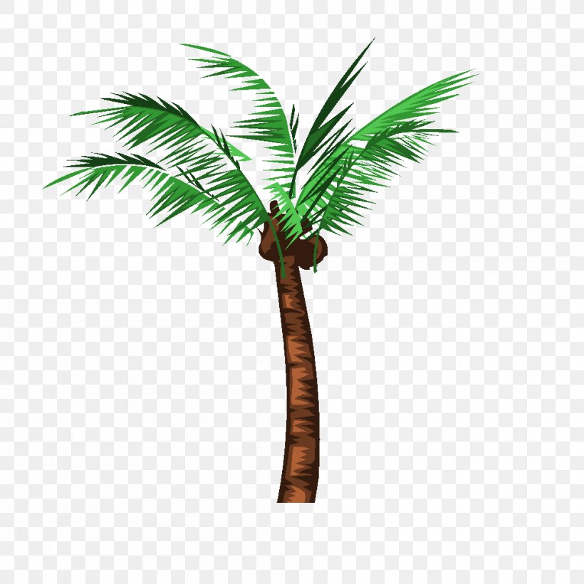 Asian Palmyra Palm Babassu Arecaceae Coconut Oil Palms, PNG, 1000x1000px, Asian Palmyra Palm, Arecaceae, Arecales, Attalea, Attalea Speciosa Download Free