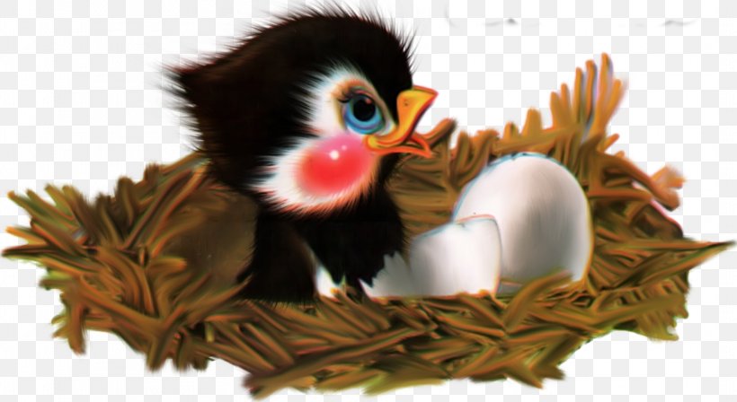Bird Beak Cuteness Clip Art, PNG, 2112x1155px, Bird, Animal, Beak, Cartoon, Cuteness Download Free