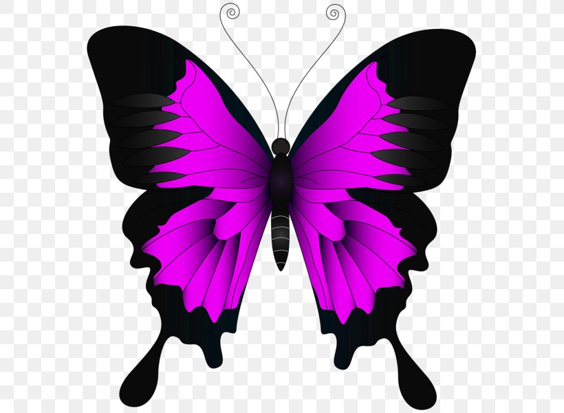 Butterfly Insect Green Clip Art, PNG, 574x600px, Butterfly, Arthropod, Brush Footed Butterfly, Butterflies And Moths, Color Download Free