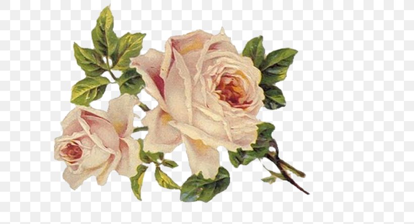 Flower Rose Vintage Clothing Clip Art, PNG, 606x444px, Flower, Antique, Artificial Flower, Cut Flowers, Floral Design Download Free