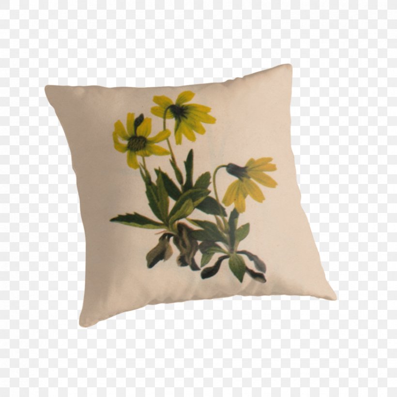 Lake Louise Arnica (Arnica Louisiana) Flower Cushion Throw Pillows United States, PNG, 875x875px, Flower, Americans, Cushion, Generic Drug, Pillow Download Free
