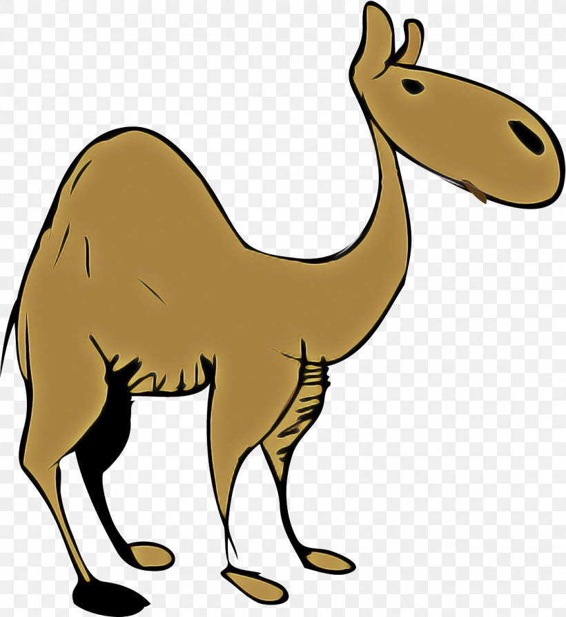 Llama Cartoon, PNG, 1113x1213px, Dromedary, Alpaca, Camels, Cartoon, Desert Download Free