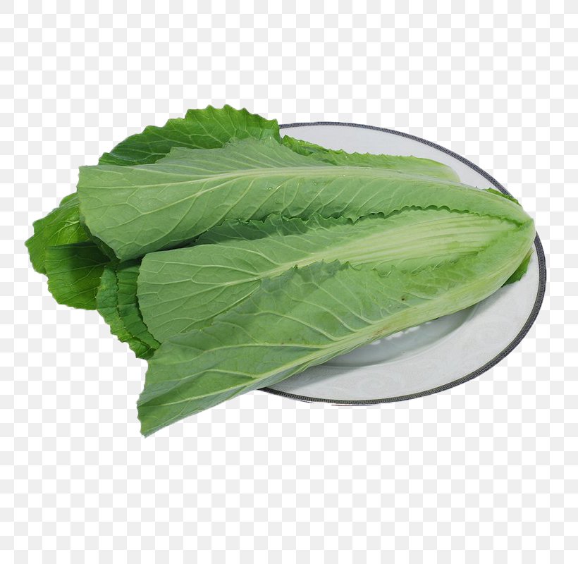 Romaine Lettuce Brassica Oleracea Kale Vegetable Bok Choy, PNG, 800x800px, Chinese Cabbage, Bok Choy, Brassica Juncea, Cabbage, Collard Greens Download Free