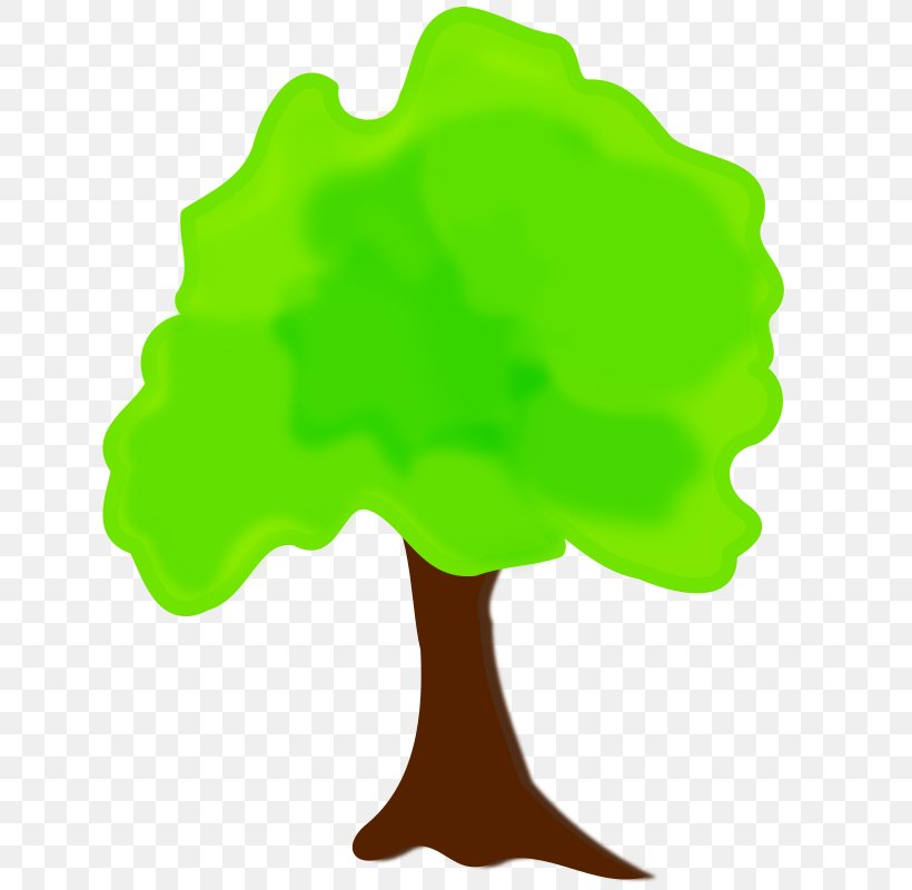 Tree Woody Plant Clip Art, PNG, 800x800px, Tree, Cartoon, Clip Art, Grass, Green Download Free