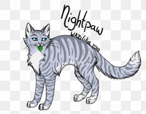 Cat - Whiskers Tabby Cat Domestic Short-haired Cat Wildcat PNG