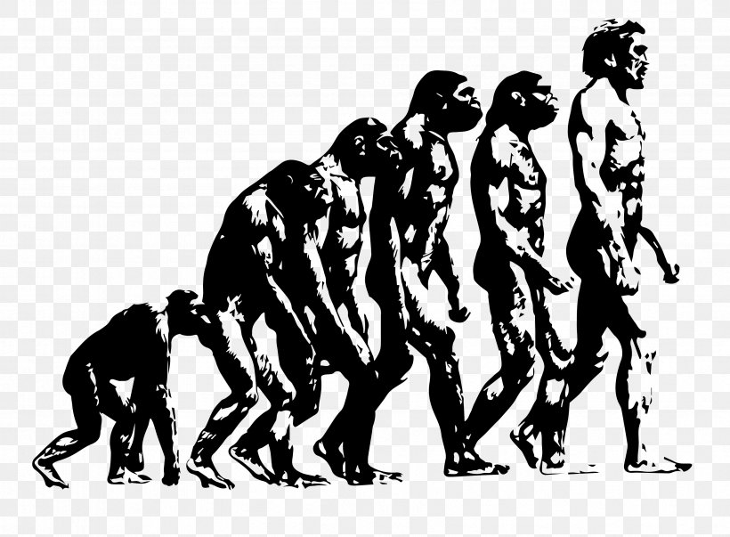 Ape Origin Of Modern Humans Human Evolution Introduction To Evolution, PNG, 3369x2480px, Ape, Art, Australopithecine, Black And White, Charles Darwin Download Free
