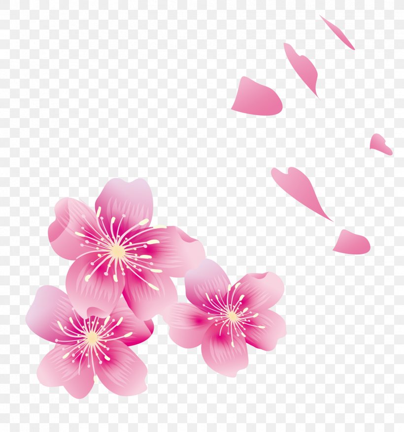 Cherry Blossom Petal, PNG, 1708x1829px, Cherry Blossom, Blossom, Cerasus, Cherry, Floral Design Download Free