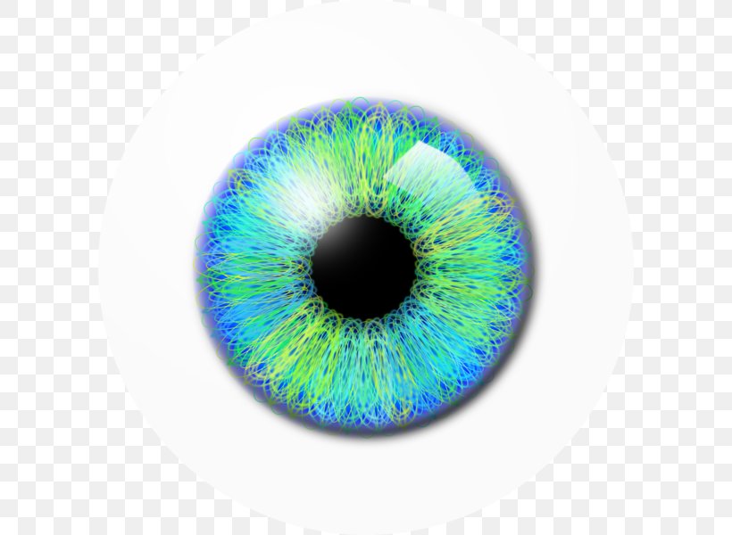 Eye Pupil Icon, PNG, 600x600px, Watercolor, Cartoon, Flower, Frame, Heart Download Free