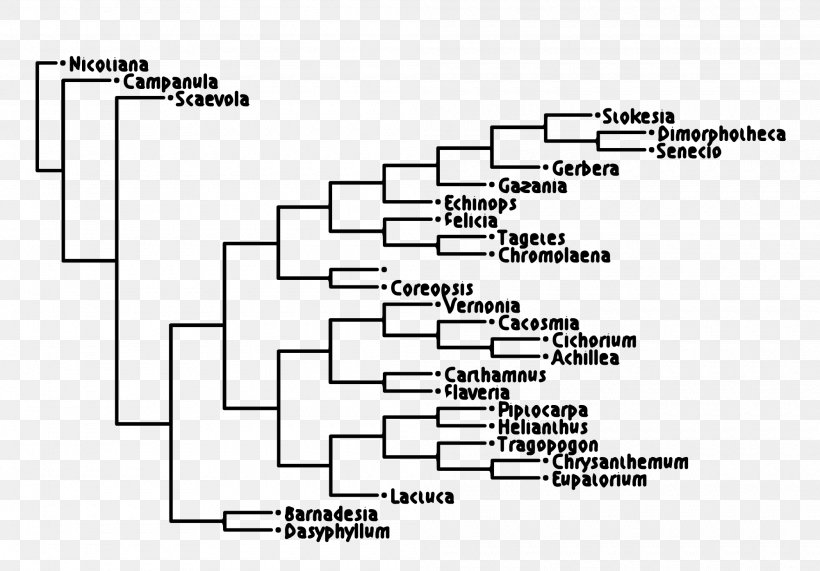 Filograma Cladogram Phylogenetic Tree Dendroscope Phylogenetics, PNG, 2000x1393px, Watercolor, Cartoon, Flower, Frame, Heart Download Free