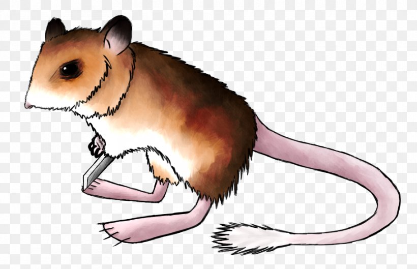 Gerbil Hamster Dormouse Brown Rat Rodent, PNG, 911x588px, Gerbil, Animal, Animal Figure, Black Rat, Brown Rat Download Free
