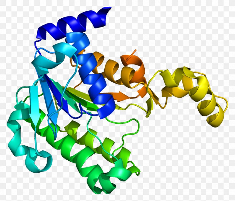 HTATIP2 Gene Protein Metastasis Suppressor Mannose Receptor, PNG, 883x757px, Watercolor, Cartoon, Flower, Frame, Heart Download Free