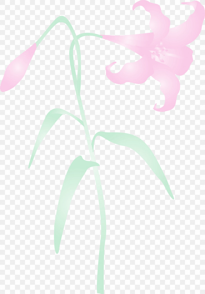 Pink Leaf Plant Flower Tree, PNG, 2089x3000px, Easter Flower, Flower, Herbaceous Plant, Leaf, Magenta Download Free
