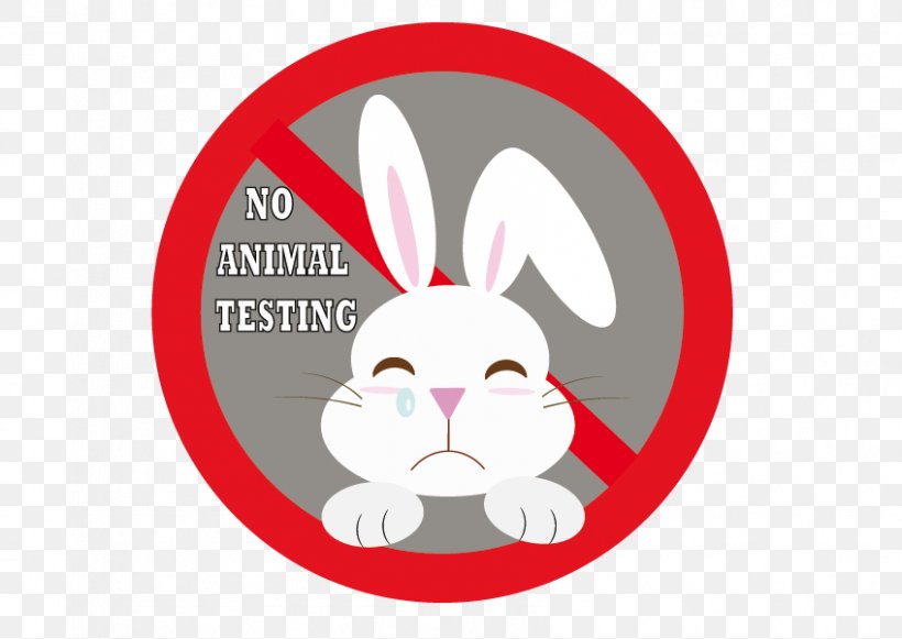 Rabbit Animal Testing Experimentación, PNG, 848x601px, Rabbit, Animaatio, Animal, Animal Testing, Cartoon Download Free