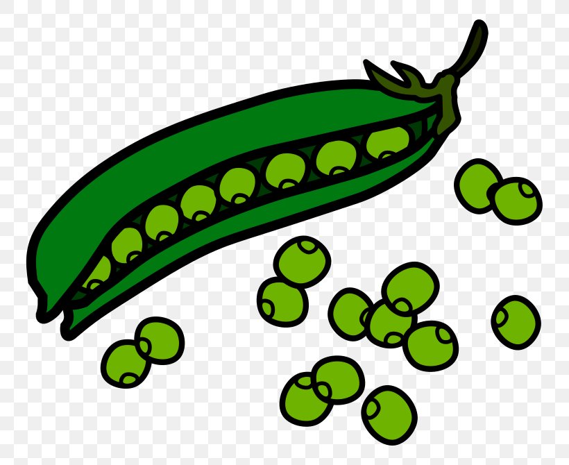 Sweet Pea Vine Clip Art, PNG, 800x670px, Pea, Artwork, Bean, Blackeyed Pea, Food Download Free