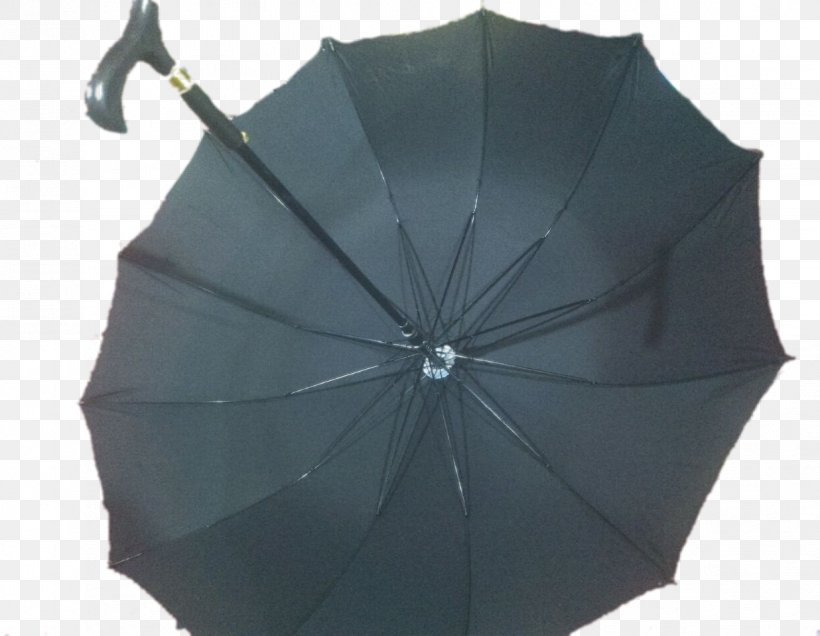 Umbrella Assistive Cane Walking Stick Handle, PNG, 1236x960px, Umbrella, Assistive Cane, Assistive Technology, Customer, Fashion Accessory Download Free