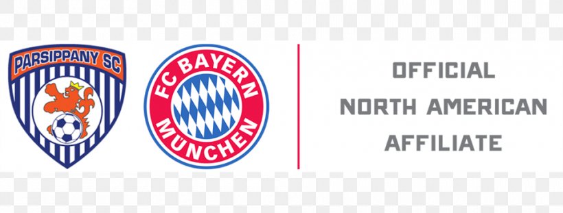 FC Bayern Munich 2017–18 UEFA Champions League Bundesliga Real Madrid C.F. Football, PNG, 960x365px, Fc Bayern Munich, Area, Banner, Bavaria, Bracket Download Free
