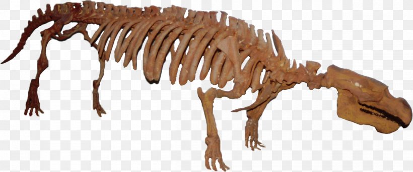 Tyrannosaurus Dugongidae Pezosiren Eocene, PNG, 1200x502px, Tyrannosaurus, Animal, Animal Figure, Carnivoran, Dinosaur Download Free