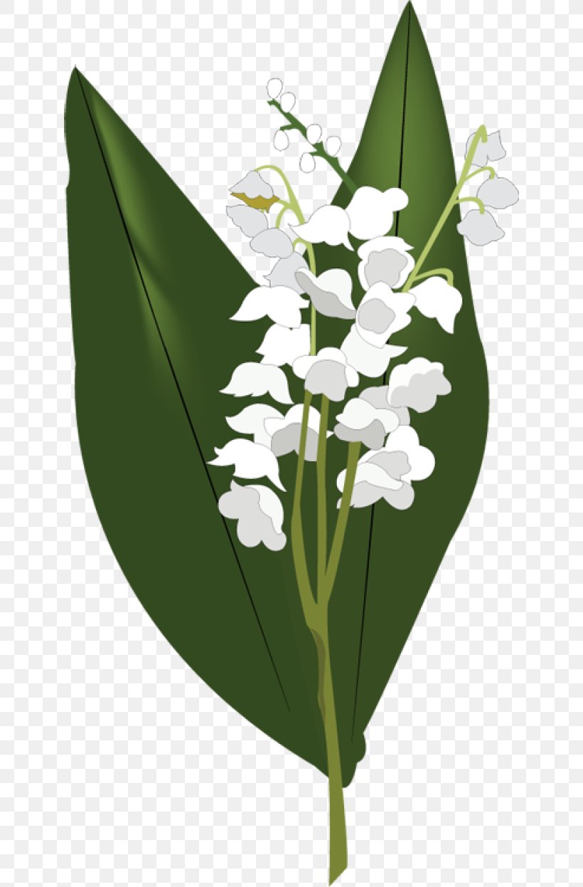 Lily Of The Valley Clip Art, PNG, 640x1246px, Lily Of The Valley, Display Resolution, Flora, Floral Design, Floristry Download Free
