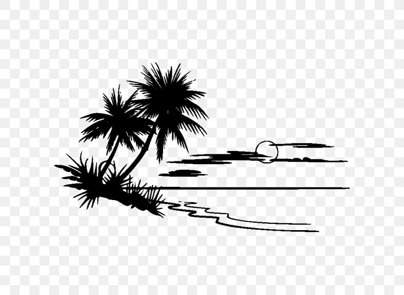Palm Tree Drawing, PNG, 600x600px, Beach, Arecales, Blackandwhite, Drawing, Landscape Download Free