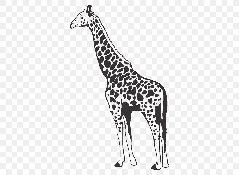 Style And Apply Giraffe II Wall Decal Style And Apply Giraffe II Wall Decal Paper Sticker, PNG, 600x600px, Giraffe, Animal, Animal Figure, Black And White, Decal Download Free
