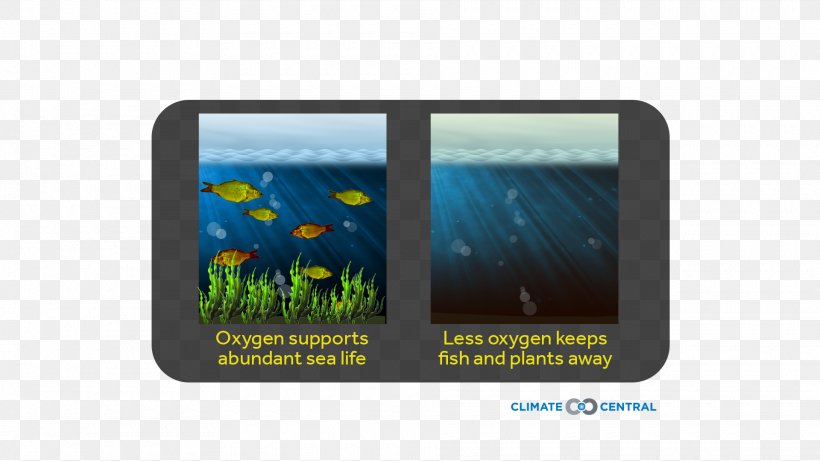 World Oceans Day 8 June Climate Central Technology, PNG, 1920x1080px, 8 June, Ocean, Brand, Carbon, Climate Download Free