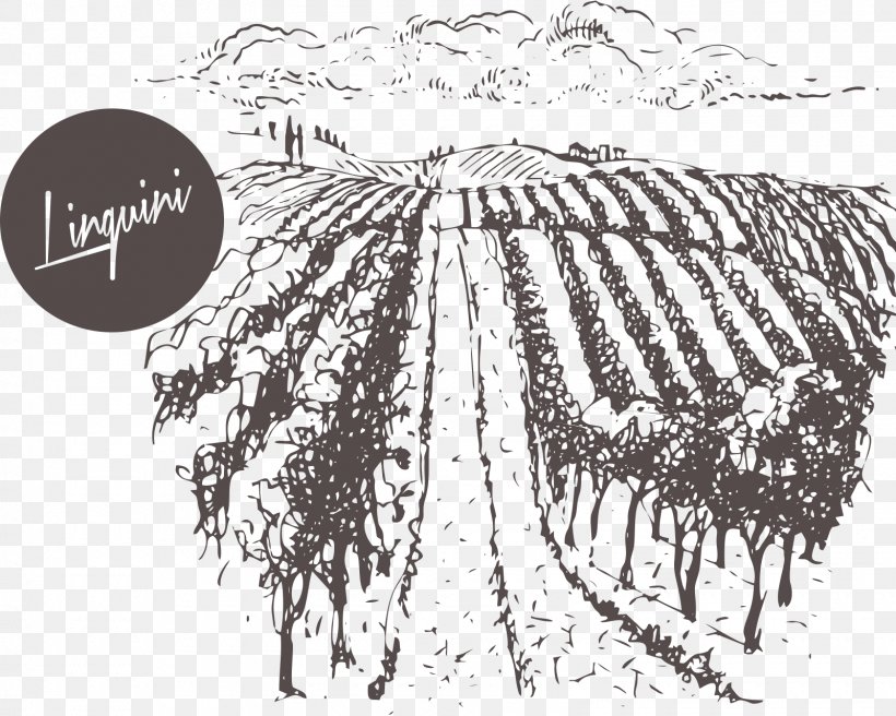 Burgundy Wine To Burgundy And Back Again: A Tale Of Wine, France, And Brotherhood Riesling Winery, PNG, 1600x1280px, Wine, Artwork, Black And White, Branch, Burgundy Wine Download Free