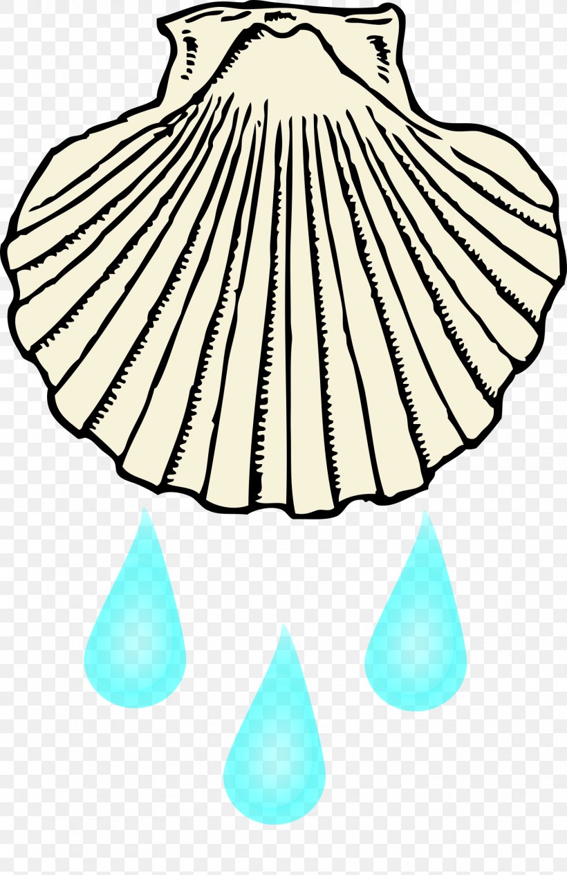 Clam Seashell Black And White Clip Art, PNG, 1555x2400px, Clam, Art, Artwork, Black And White, Cartoon Download Free